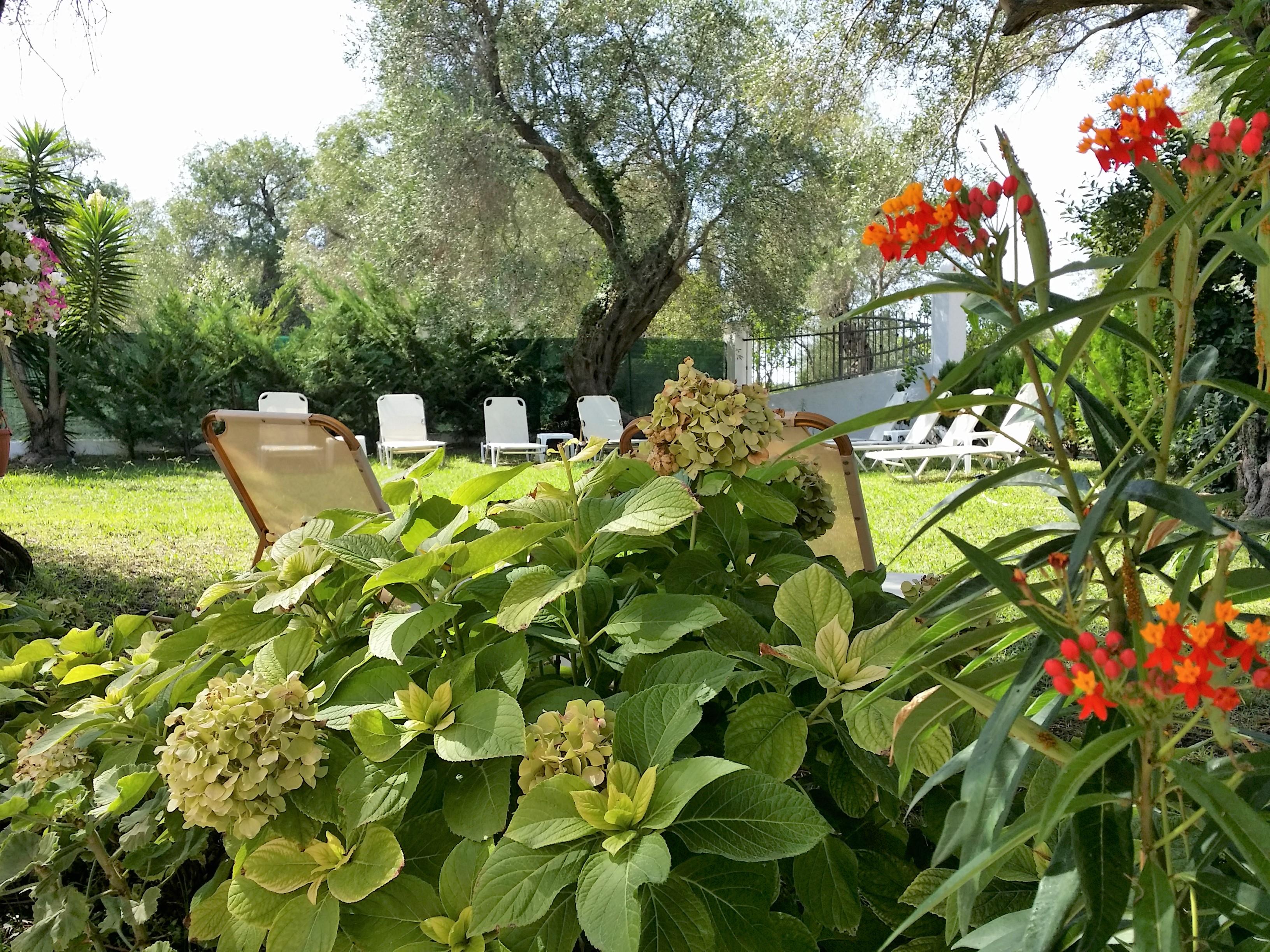 Marilena Apartments & Studios Дассия Экстерьер фото