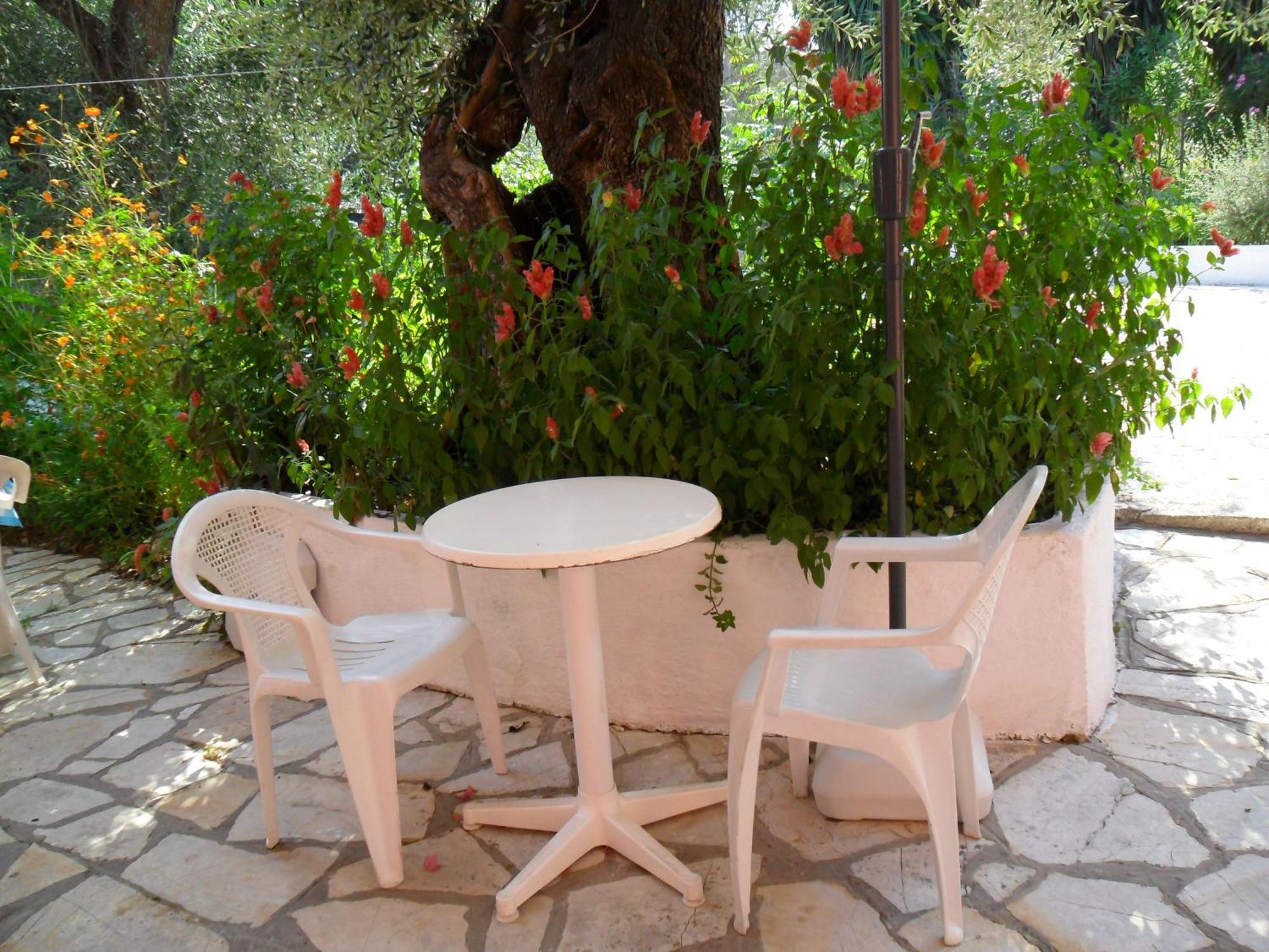 Marilena Apartments & Studios Дассия Экстерьер фото
