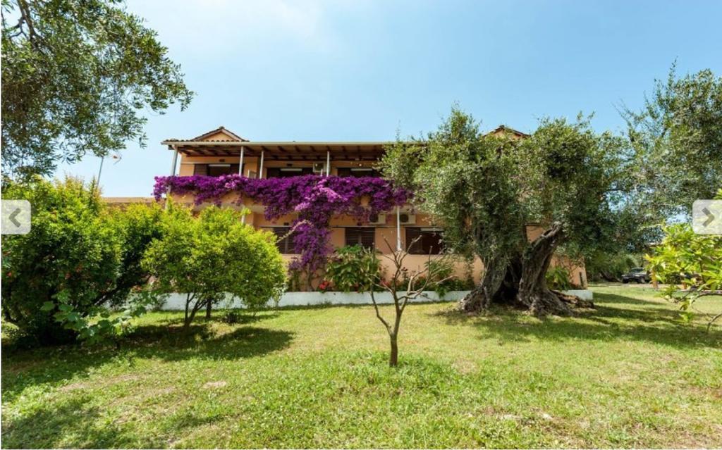 Marilena Apartments & Studios Дассия Номер фото